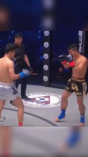 UFC Boxing vs MMA: Key Differences Every Fan Should Know