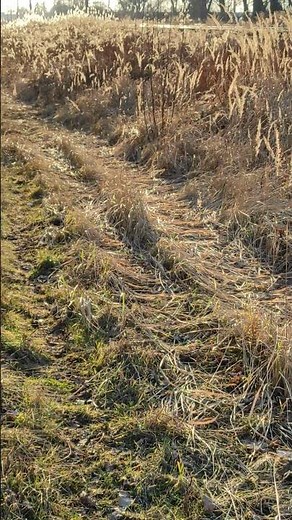 Relax with Nature – A Slow Journey Through Beautiful Places in Poland (Europe).