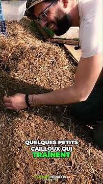 🌱 "Radish Sowing: The Simple Trick for an Express Harvest!" #vegetable garden #garden #gardening