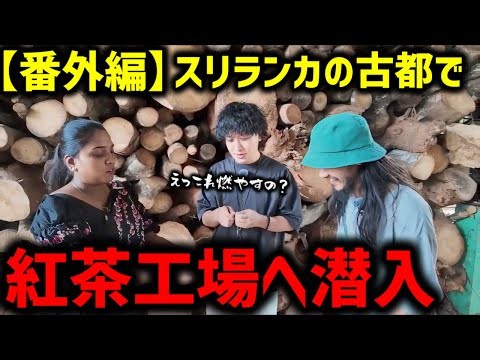 【スリランカ番外編】紅茶工場見学で感じた経済循環の正しい形【TOLANDVLOG】