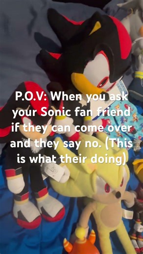 P.O.V: when you ask your Sonic fan friend if they can come over. #sonicdash
