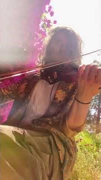 "Concerning Hobbits" bardcore cover by spencer california #LoTR