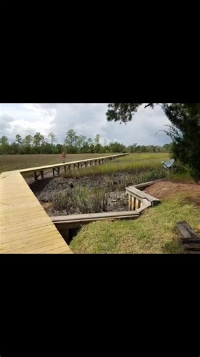 Joseph Napier Jr on Reels