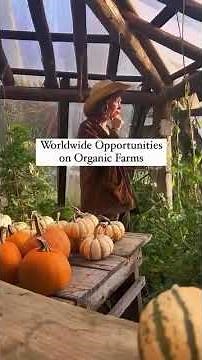 What is WWOOF?