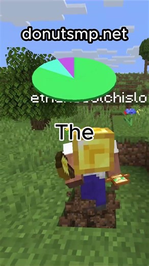 How People Find Bases on Donut SMP…