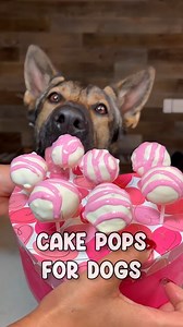 1.1M views · 19K reactions | Cake Pops For Dogs Recipe   - Hope you enjoy our valentines themed cake pops for dogs recipe! We had a ton of fun making goodies yesterday and we have one more Valentines recipe special coming up for you guys in the next week #dog #recipe #germanshepherd #dogrecipe | Jade the Sable GSD | Facebook
