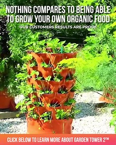 2K views · 252 reactions | "I have bad knees and this tower makes it...