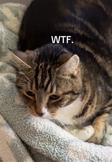 Sydney Dillon ⋆.ೃ࿔*:･ on TikTok