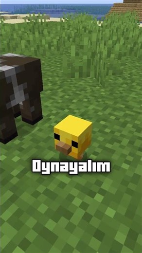 Playing billiards in Minecraft? #minecraft #gaming #minecrafttutorial #minecraftendupdate