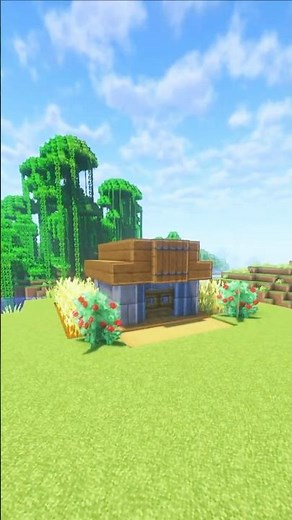 Minecraft Tiny House 🏠