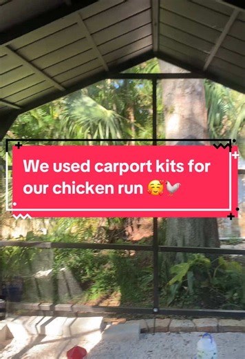 Replying to @Kari Ann 🍋 We used 2 carport kits for our chicken run. #chickenrun #chickensoftiktok #coop #carport #kits