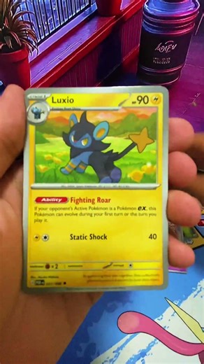 Day 18/36#pokemon #pokemontcg #pokemoncommunity #shorts