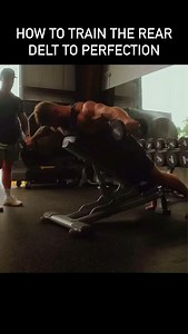 11K reactions · 357 shares | Cbum Training His Rear Delts To Perfection . . . . . #gym #fitness #bodybuilding #workout #cbum #training #reardelts #reardeltsworkout #shoulders #shoulderworkout | Fitxfusion | Facebook