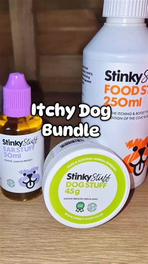 Effective Solutions for Itchy Dogs and Ears