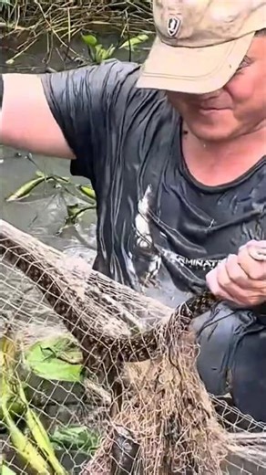 Bé Na Chà Bá #funny #fishing #batca #survival #amthuc #vlogmientay #bibovlogmientay #shots