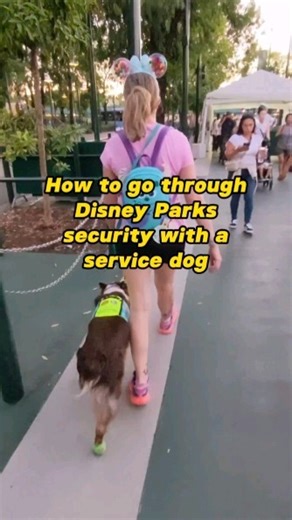 Before I ever took my service dog to a Disney park I did loads and loads of research, I wanted to make sure that I knew as much as possible before taking on such a big trip as a team. One of the things that I saw all across social media was people talking about their concerns about going through Disney Park security with their service dogs. I read horror stories about crazy security dogs (Plutos) who attacked service dogs, acted aggressive, lunged, etc and it gave me a lot of anxiety. I have to 