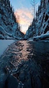 River, Ice, Trees. Free Stock Video
