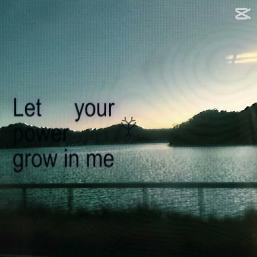 poison tree by grouper #lyrics #music #emotional #song #audio #vent #shorts