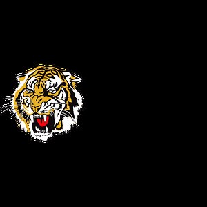 History - Redcliffe Tigers AFC