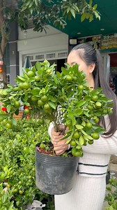 169K views · 4.3K reactions | ចូលស្តុកគ្រប់យ៉ាង! | ចែញ៉ា online shop | Facebook