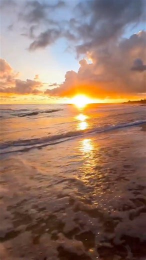 Sunset ☀️ #sunset #relax#naturesounds#relaxingmusic#sleepmusic#shorts