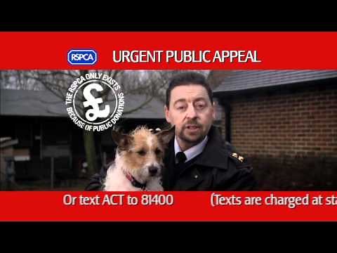 RSPCA Advert - Biggest Animal Rescue TV ad 2.mov