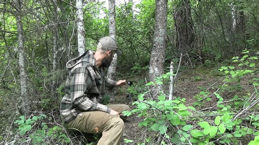 5个有用的生存陷阱和圈套5 Survival Traps and Snares that WORK! - Primitive Traps