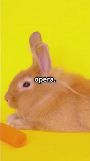 Why Do Bunnies Flop Over? 🐰💤 (It’s Not What You Think!)
