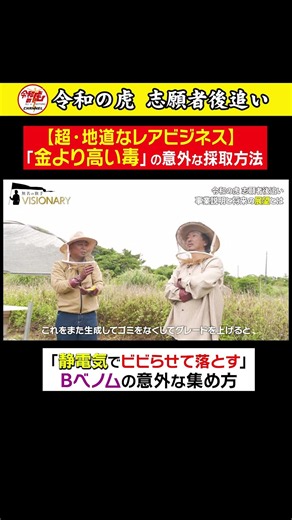"Scaring them with static electricity": The insane way they harvest "Bee Venom," which is worth m...