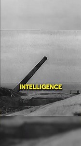 Sweden in WWII — Neutral or Not #history #education #educational #teaching #ww2 #facts #historyfacts