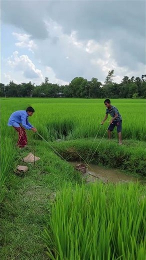 Village Irragation technology #Shorts" #usa #us