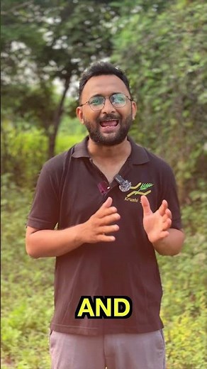 Effective Pest Control with Pheromone Traps for Coconut Farmers | Organic Pest Management Solution