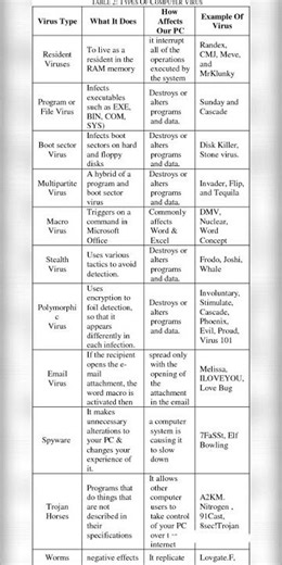 Types of Computer Viruses