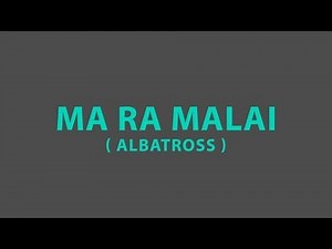 Ma ra malai - Albatross (LYRICS)
