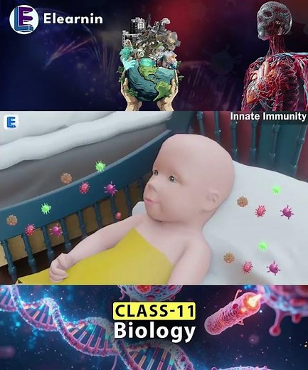 How Your Body Fights Back INSTANTLY! #science #biology #class11