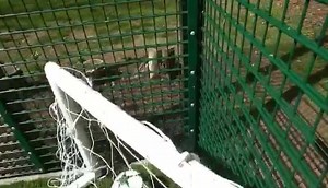 It's all about angles, geometry and triangles 📐 | Pro Football Academy