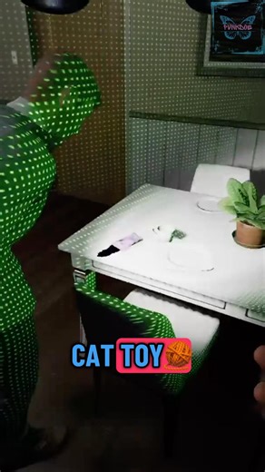 Mans owns a cat but doesn’t know what a cat toy looks like smh