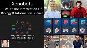 Xenobots — Novel Synthetic Life Forms At The Intersection Of Biology & Information Science – Lifeboat News: The Blog
