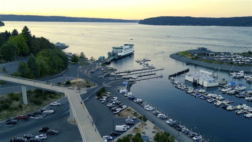 The Wilson Way pedestrian bridge provides a front row seat to the best views in town 🌅 | Point Defiance Park