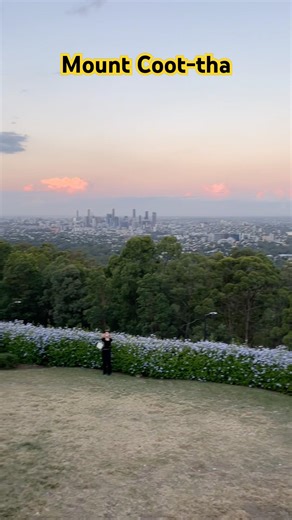 Brisbane from Above | Mount Coot-tha Lookout Views