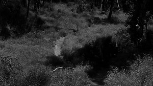 8231-I Married A Monster From Outer Space (1958) 720p D S spa eng v