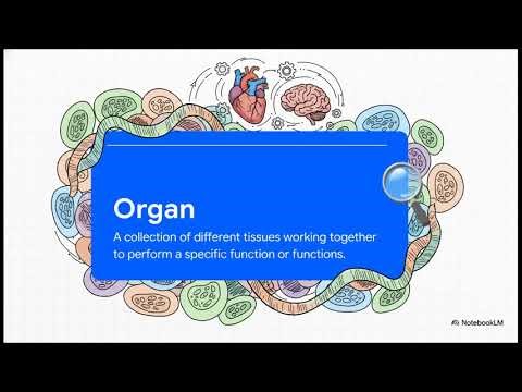 The Body s Building Blocks Science Educational Video