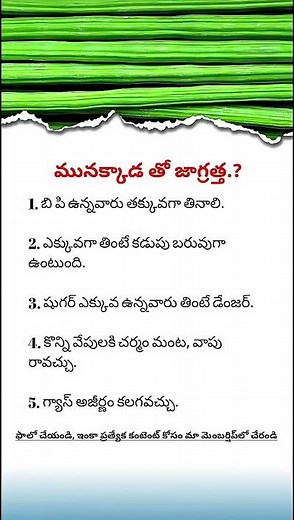 5 Dangerous Side Effects of Eating Too Much Drumstick (Moringa): Must Know Health Warnings