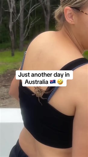 Just another day in Australia 🇦🇺 🎥 @paigeakalacakes #australia #travelaustralia #workingholidayaustralia #goldcoast