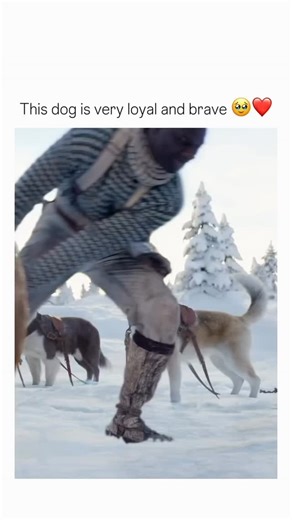 movie cut | follow(us) @moviecut399 for daily movie recommendations and cinema news!! Series: Key and Peele (2012) 5 Seasons (Comedy) Description:... | Instagram