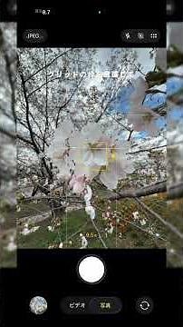 3 ways to take beautiful photos of cherry blossoms with your iPhone #iphone #smartphonecamera #ho...