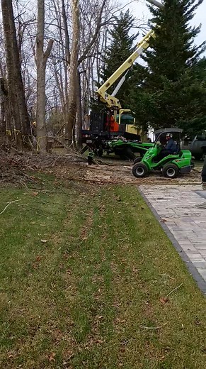 We've been loving how the Avant works in the most intricate spaces. | Preferred Arbor Care, LLC | Facebook