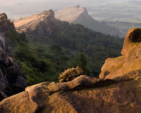 The Roaches | Staffordshire Wildlife Trust
