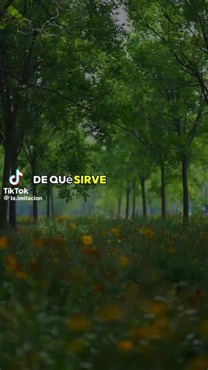 Videos de Ruth Diaz (@ruth.diaz847) con “sonido original - Ruth Diaz”