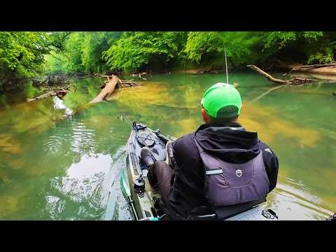 This Slough was Loaded on Guntersville!